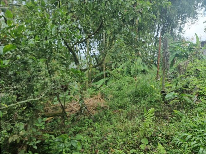 Finca en venta en Argenzul, Armenia, 200 m² · foto 8 de 20