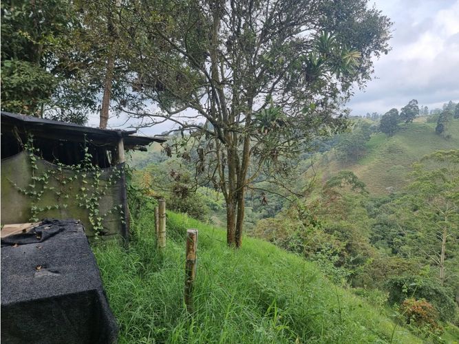 Finca en venta en Argenzul, Armenia, 200 m² · foto 11 de 20