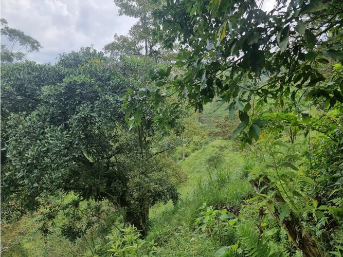 Finca en venta en Argenzul, Armenia, 200 m² · foto 13 de 20