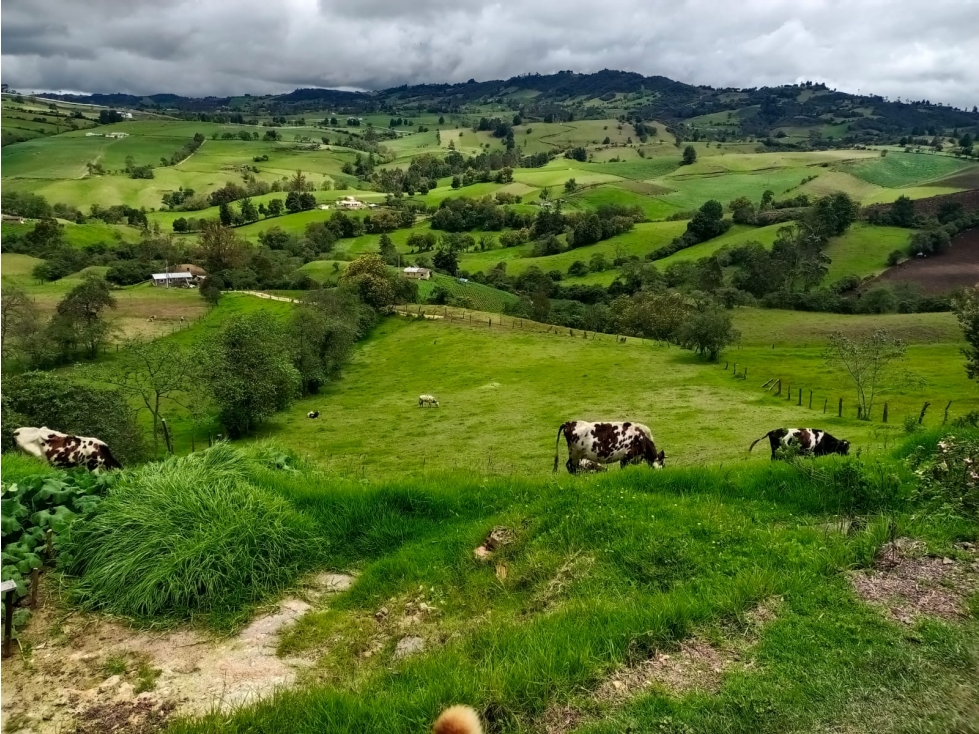 Finca en Venta. Ref FRY5D7BA