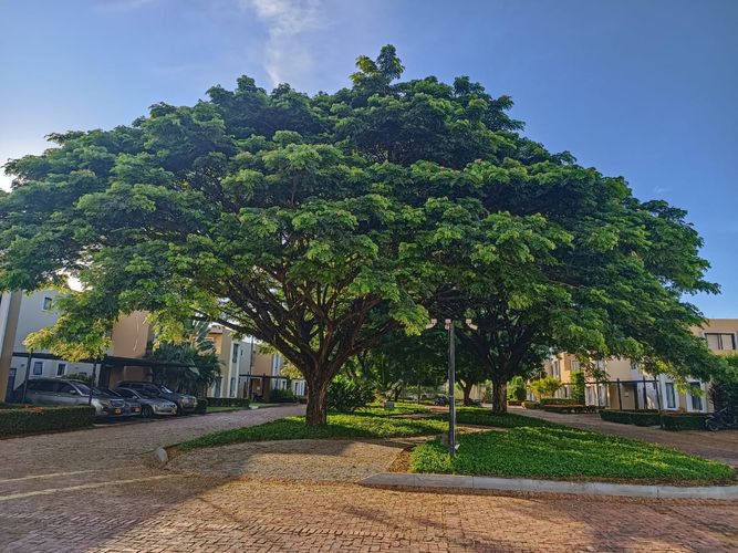 Casa de 4 alcobas en venta en Ricaurte, 423 m² · foto 21 de 23