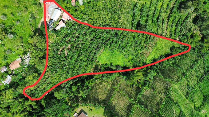 Finca en venta en Combia Alta, Pereira, 300 m² · foto 2 de 20