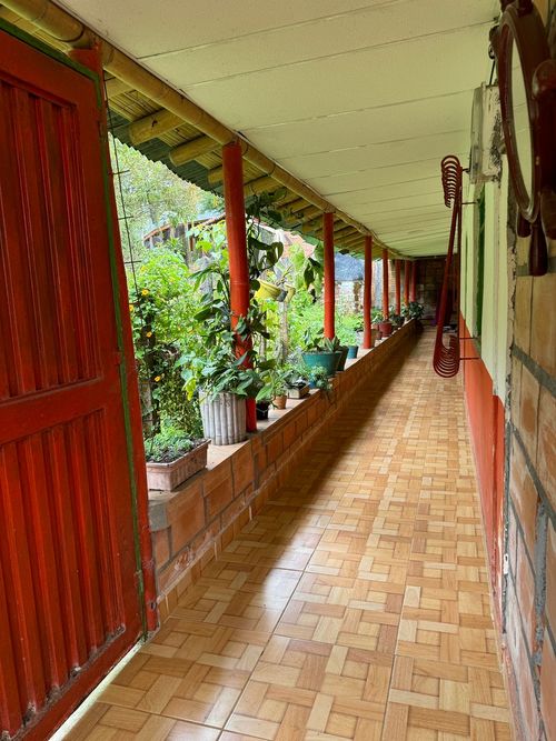 Finca en venta en Combia Alta, Pereira, 300 m² · foto 5 de 20