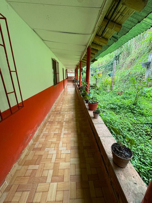 Finca en venta en Combia Alta, Pereira, 300 m² · foto 6 de 20