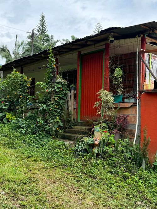 Finca en venta en Combia Alta, Pereira, 300 m² · foto 11 de 20