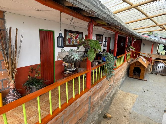 Finca en venta en Combia Alta, Pereira, 300 m² · foto 14 de 20
