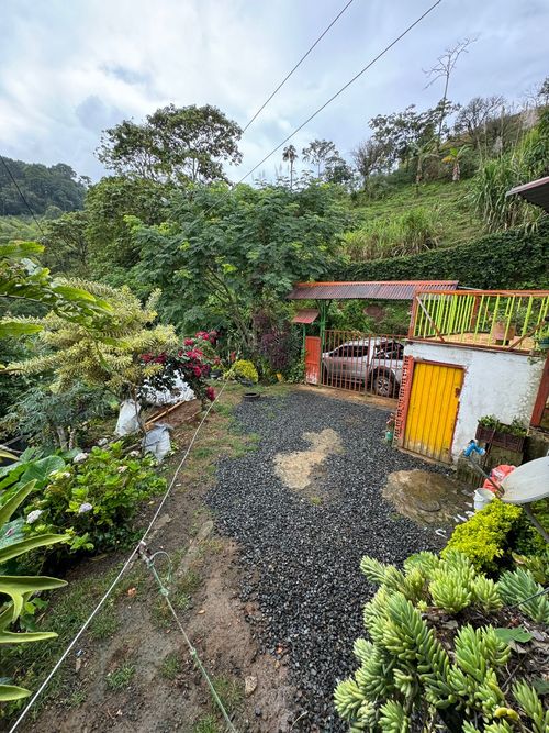 Finca en venta en Combia Alta, Pereira, 300 m² · foto 15 de 20