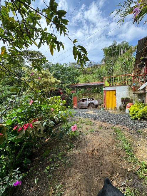 Finca en venta en Combia Alta, Pereira, 300 m² · foto 16 de 20