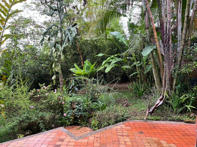 Casa de 3 alcobas en venta en Los Balsos, Medellín, 226 m² · foto 20 de 20