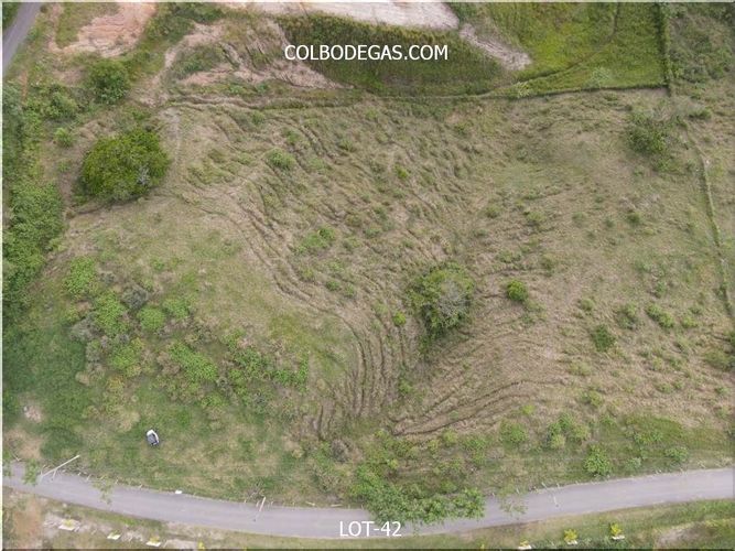 Lote en venta en Cerritos, Pereira, 10147 m² · foto 4 de 14