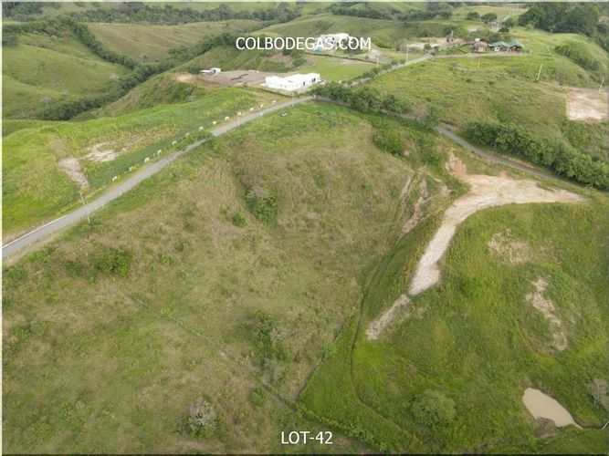 Lote en venta en Cerritos, Pereira, 10147 m² · foto 9 de 14