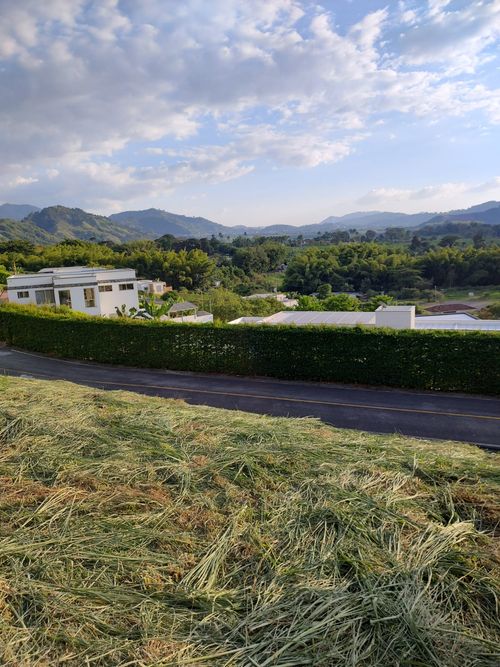 Lote en venta en El Rosario, Manizales, 1505 m² · foto 2 de 5