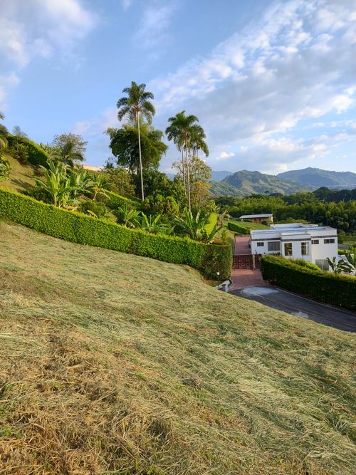 Lote en venta en El Rosario, Manizales, 1505 m² · foto 5 de 5
