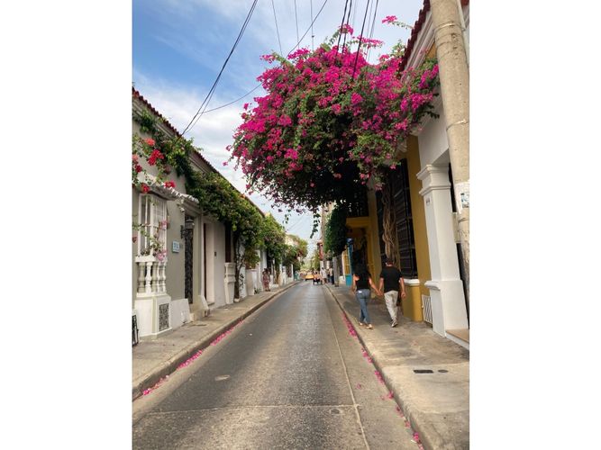 Casa de 10 alcobas en arriendo en Cartagena De Indias, Cartagena, 700 m² · foto 5 de 24