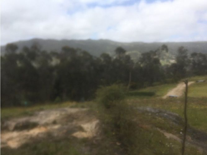 Lote en venta en El Libano, La Calera, 2500 m² · foto 2 de 24