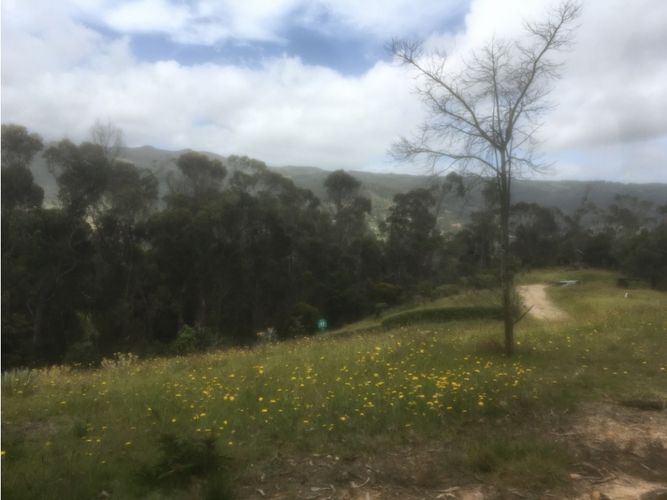Lote en venta en El Libano, La Calera, 2500 m² · foto 5 de 24