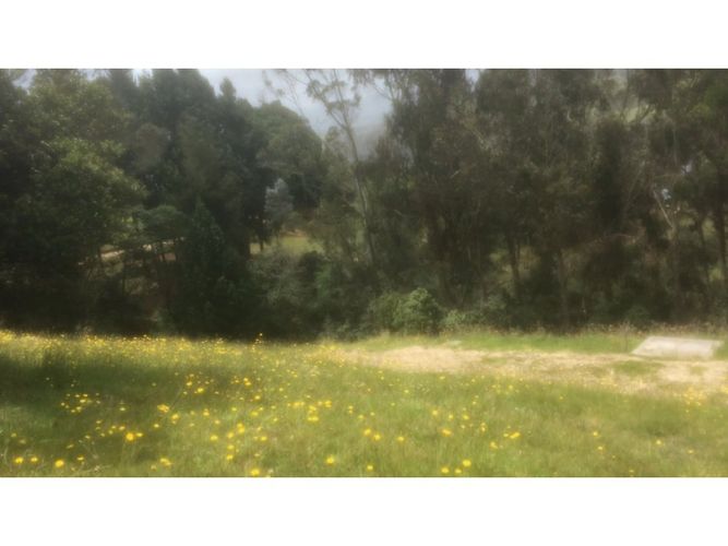 Lote en venta en El Libano, La Calera, 2500 m² · foto 10 de 24