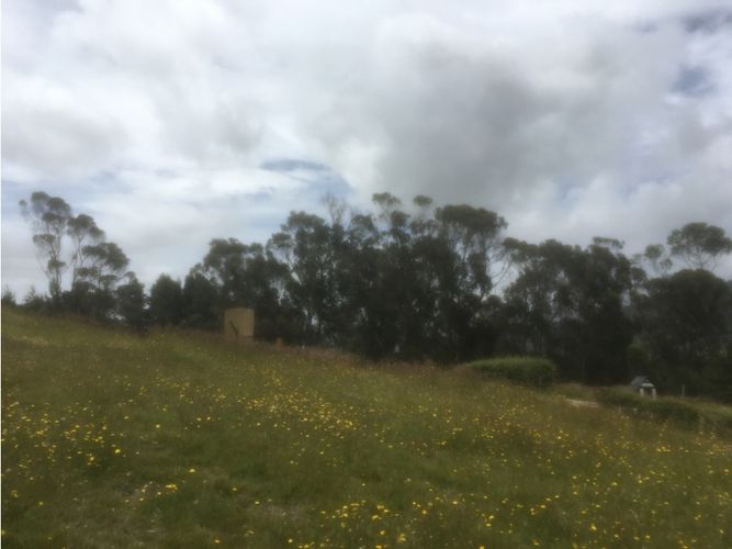 Lote en venta en El Libano, La Calera, 2500 m² · foto 13 de 24