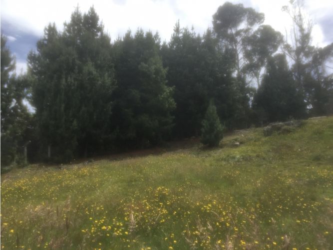 Lote en venta en El Libano, La Calera, 2500 m² · foto 15 de 24