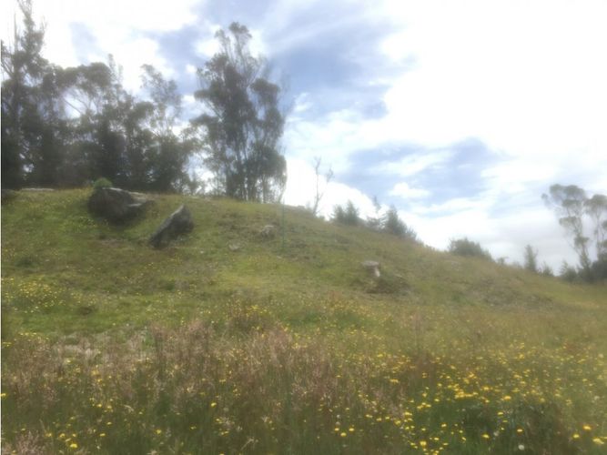Lote en venta en El Libano, La Calera, 2500 m² · foto 17 de 24
