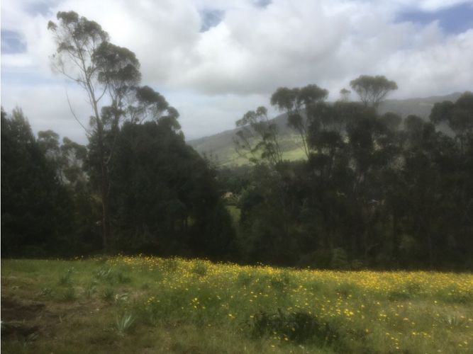 Lote en venta en El Libano, La Calera, 2500 m² · foto 19 de 24