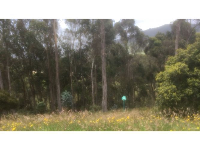Lote en venta en El Libano, La Calera, 2500 m² · foto 22 de 24