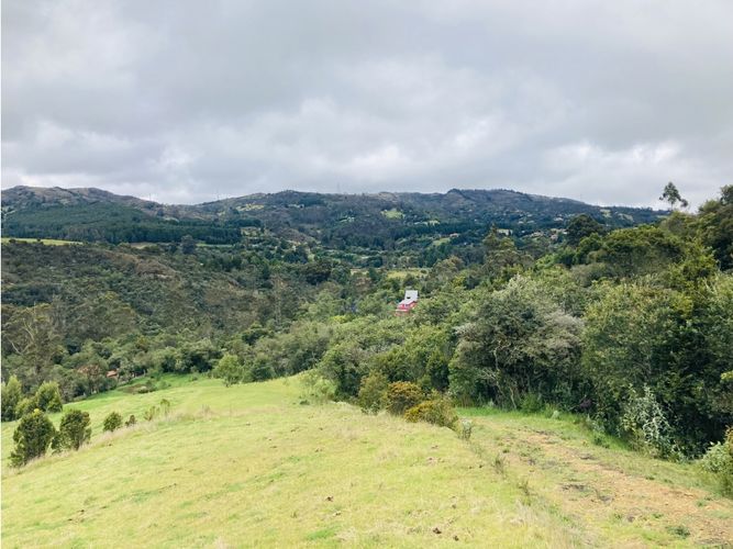 Lote en venta en El Hato, La Calera, 10000 m² · foto 6 de 24