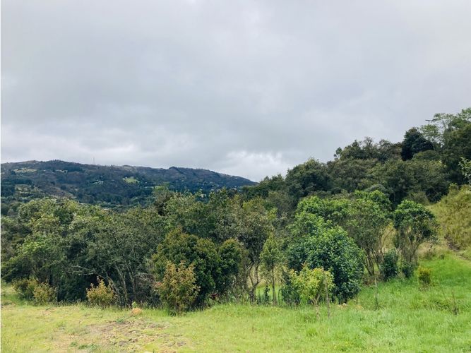 Lote en venta en El Hato, La Calera, 10000 m² · foto 7 de 24
