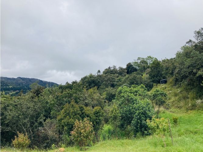 Lote en venta en El Hato, La Calera, 10000 m² · foto 8 de 24