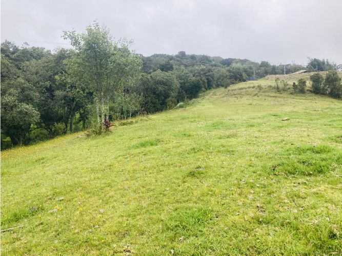 Lote en venta en El Hato, La Calera, 10000 m² · foto 9 de 24