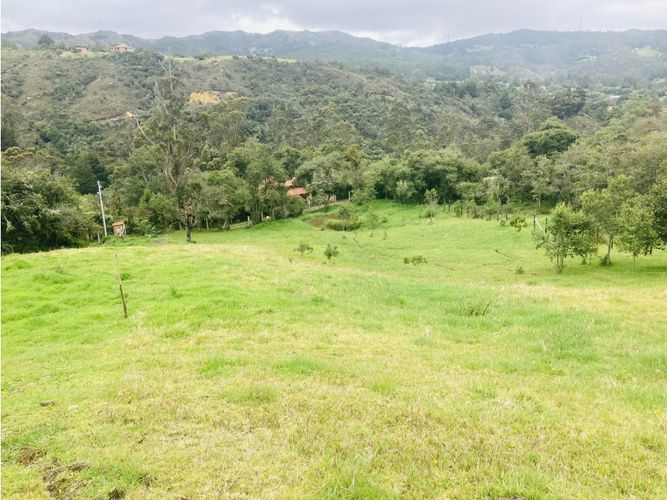 Lote en venta en El Hato, La Calera, 10000 m² · foto 11 de 24