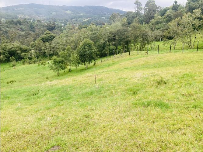 Lote en venta en El Hato, La Calera, 10000 m² · foto 13 de 24