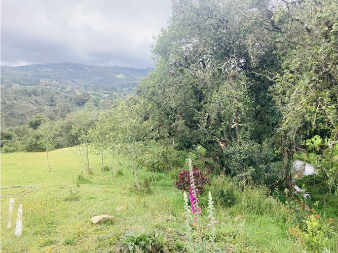 Lote en venta en El Hato, La Calera, 10000 m² · foto 15 de 24