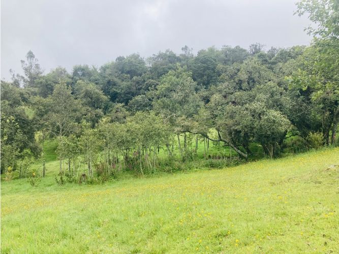 Lote en venta en El Hato, La Calera, 10000 m² · foto 18 de 24