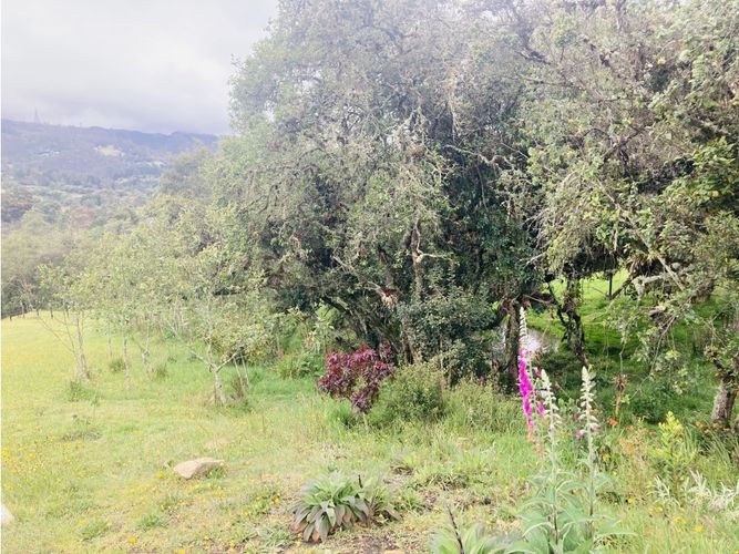 Lote en venta en El Hato, La Calera, 10000 m² · foto 19 de 24