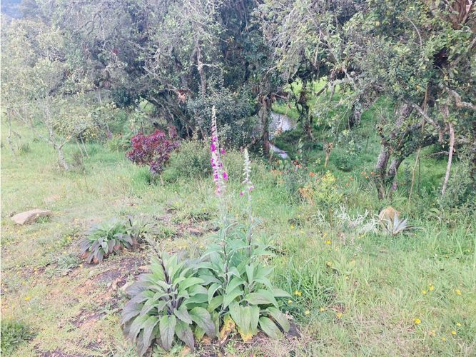 Lote en venta en El Hato, La Calera, 10000 m² · foto 20 de 24