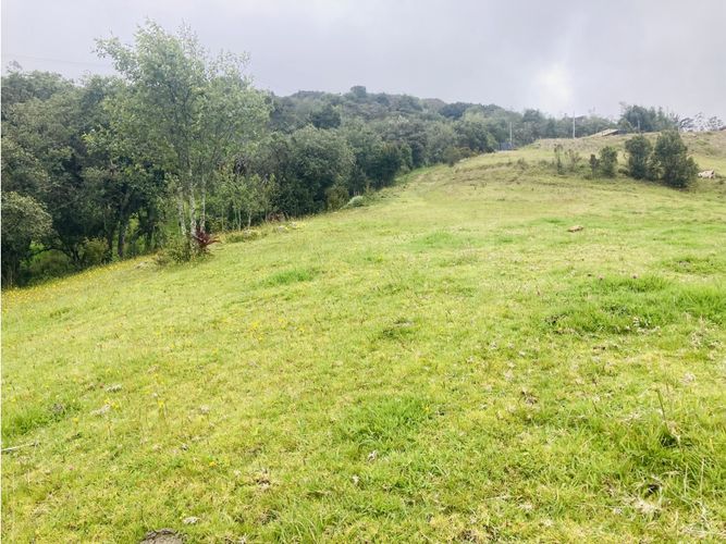 Lote en venta en El Hato, La Calera, 10000 m² · foto 21 de 24