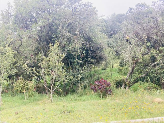 Lote en venta en El Hato, La Calera, 10000 m² · foto 22 de 24