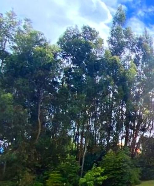 Lote en venta en Chuntame, Cajicá, 7250 m² · foto 13 de 13