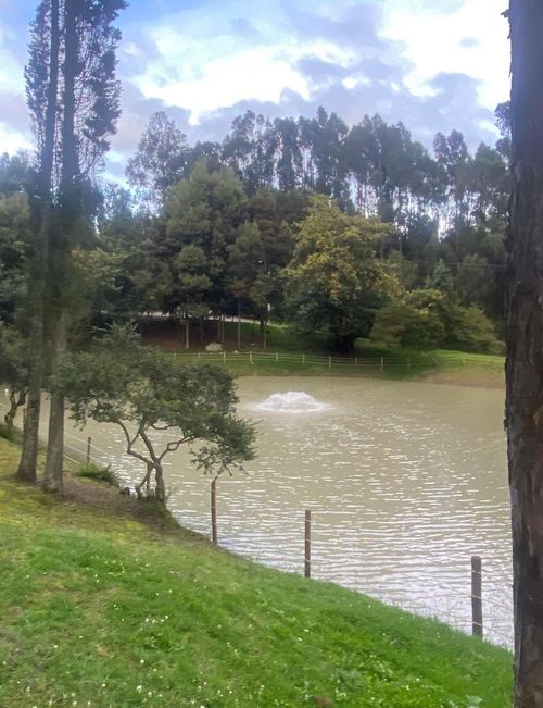 Lote en venta en Chuntame, Cajicá, 7250 m² · foto 3 de 13