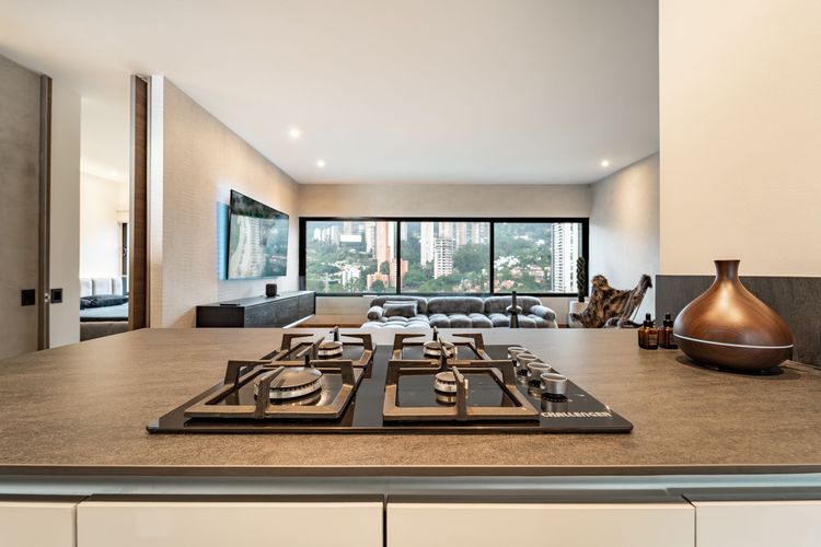 Apartamento de 2 alcobas en arriendo en El Poblado, Medellín, 65 m² · foto 3 de 17