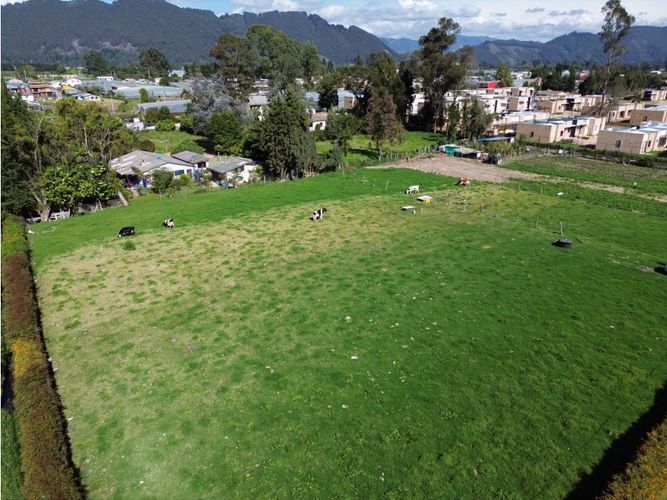 Lote en venta en Los Perez, Chía, 7514 m² · foto 2 de 5