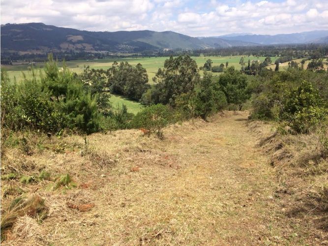 Lote en venta en Gratamira, Sopó, 10803 m² · foto 11 de 15