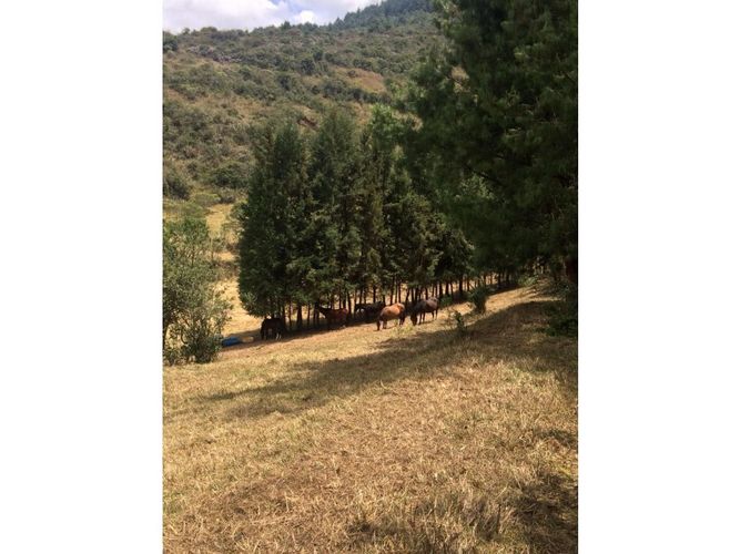Lote en venta en Gratamira, Sopó, 10803 m² · foto 12 de 15
