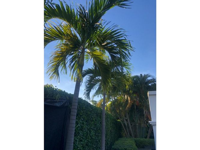 Casa de 3 alcobas en venta en Girardot, Girardot, 247 m² · foto 18 de 24
