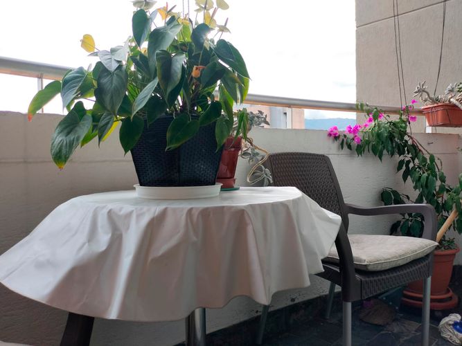 Apartamento de 1 alcoba en arriendo en La Aguacatala, Medellín, 50 m² · foto 13 de 13
