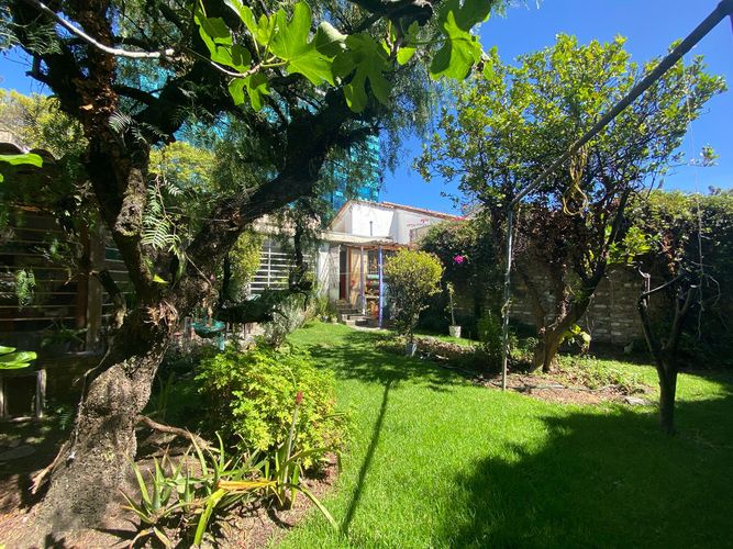 Casa de 4 alcobas en venta en Molinos Norte, Bogotá, 359 m² · foto 14 de 23