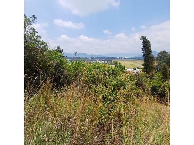 Lote en venta en La Carolina, Sopó, 1505 m² · foto 10 de 16