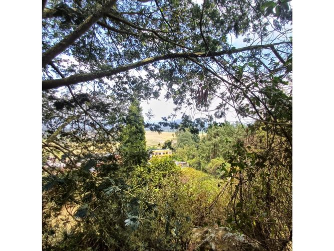 Lote en venta en La Carolina, Sopó, 1505 m² · foto 12 de 16
