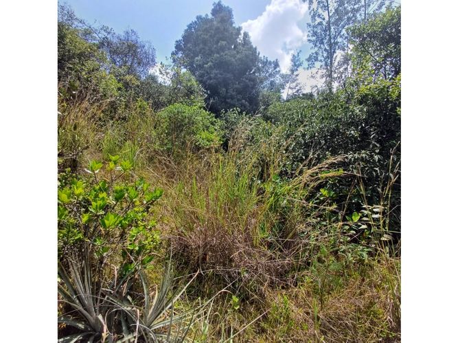 Lote en venta en La Carolina, Sopó, 1505 m² · foto 14 de 16